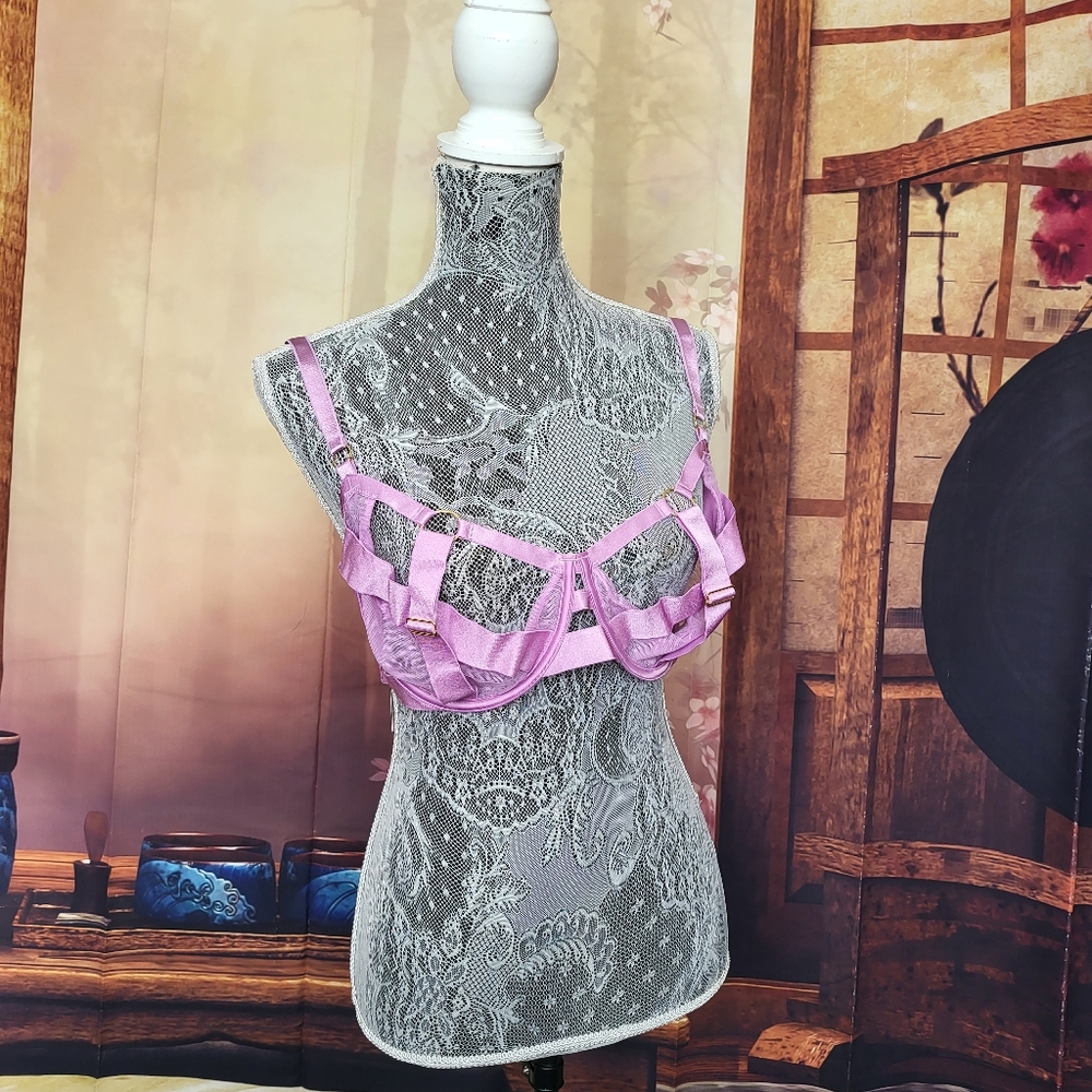 NWT 38DD